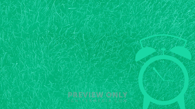 Spring_Forward_16x9-BACKGROUND#preset=tg_bg.jpg