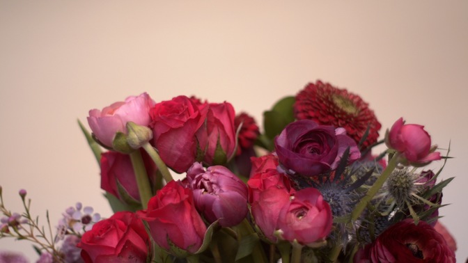 spring florals - 1