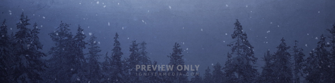 Muted_Christmas_Blue_MS_1920x480.jpg