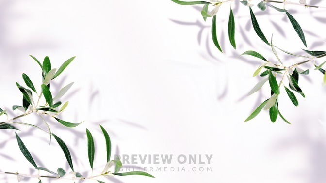 FruitoftheSpirit_FruitoftheSpirit_WB_02_HD.jpg