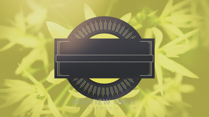 Bright_Foliage-Upcoming_Events_WIDE-TITLE-3#preset=tg_title3.jpg