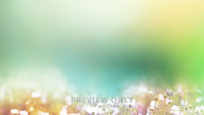 Goodbye_Fields_of_Bloom_WIDE-BACKGROUND#preset=tg_bg.jpg