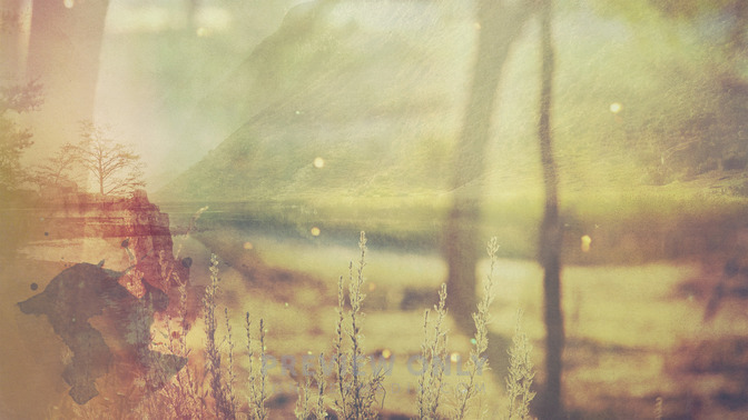 Light_of_the_Morning_16x9-CONTENT-3#preset=tg_alt3.jpg