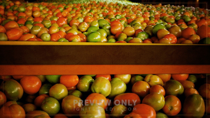 Thanksgiving_In_A_Land_Of_Plenty_16x9-TITLE-3#preset=tg_title3.jpg
