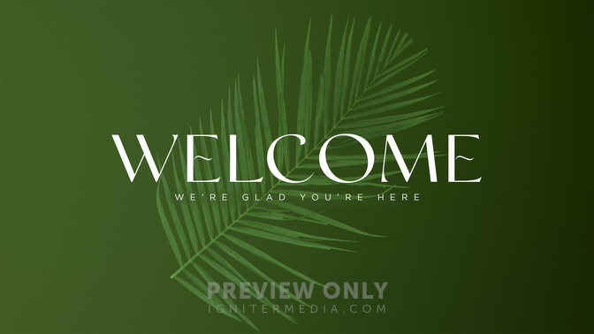 PalmWelcome-WIDE#preset=tg_title1.jpg