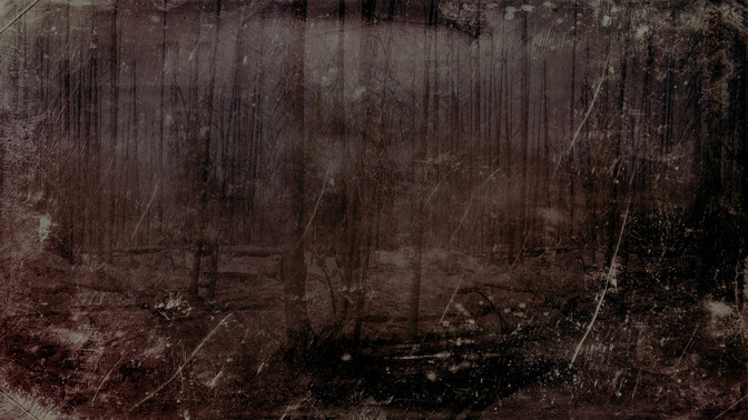 The_Danger_of_a_Cynic_16x9-BACKGROUND#preset=tg_bg.jpg