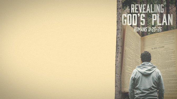 Revealing_God'S_Plan_WIDE-CONTENT-1#preset=tg_alt1.jpg
