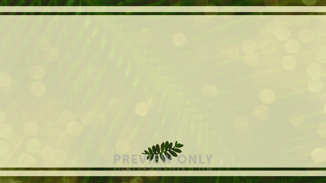 Palm_Bokeh_-_Palm_Sunday_16x9-BACKGROUND#preset=tg_bg.jpg