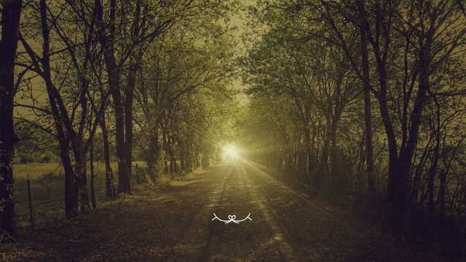 The_Path_of_Life_16x9-TITLE-3#preset=tg_title3.jpg