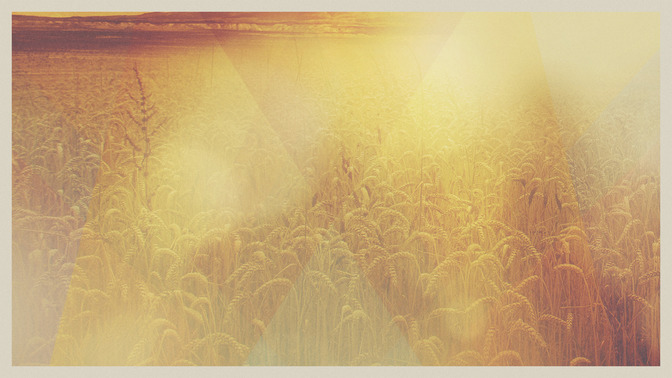 Where_You_Go_I_Go_16x9-BACKGROUND#preset=tg_bg.jpg