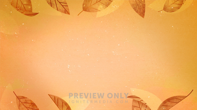 FallBack-WIDE#preset=tg_alt2.jpg