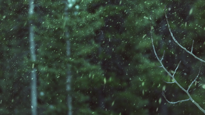 Winter_Snow_Branches_HD.jpg