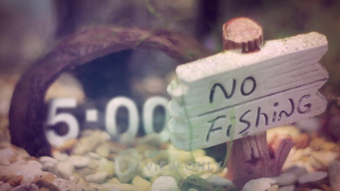 FishTankCountdown_HD.jpg