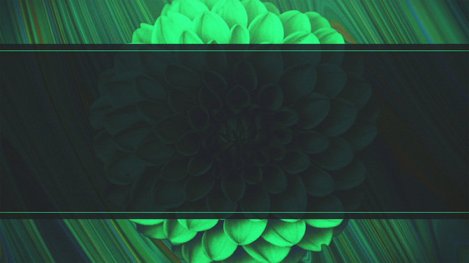 Spring_Mix-Offerings_WIDE-BACKGROUND#preset=tg_bg.jpg
