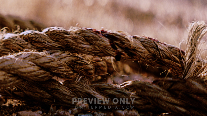 Good Friday Detail HD.jpg