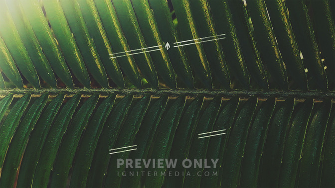 Macro_Easter_-_Palm_Sunday_16x9-TITLE-3#preset=tg_title3.jpg