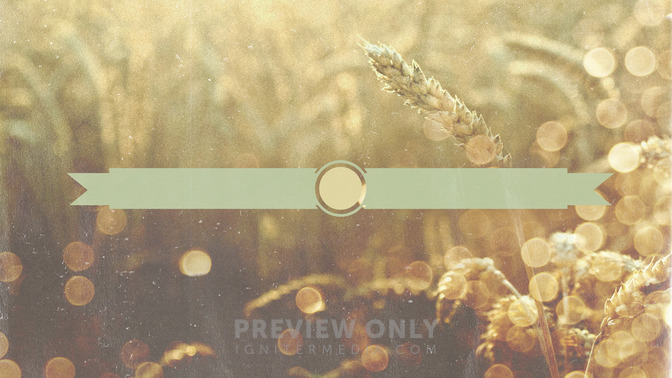 Wheat_Field_-_Thanks_For_Coming_16x9-TITLE-3#preset=tg_title3.jpg
