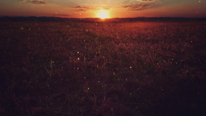 Golden_Field_HD.jpg