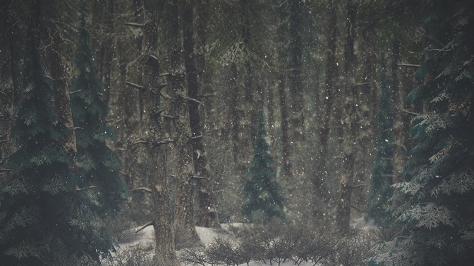 Winter_Wonderland_5_HD.jpg