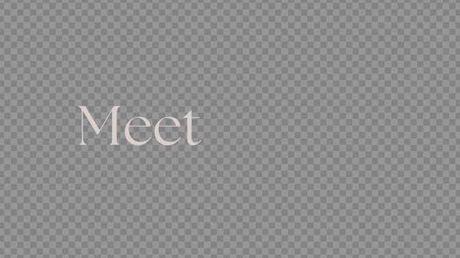 salt + light - meet