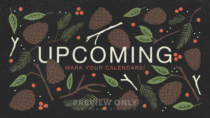 christmas pine - upcoming