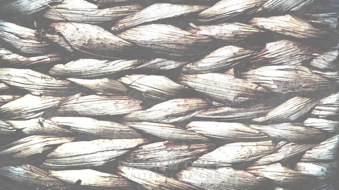 Woven_Together_WIDE-BACKGROUND#preset=tg_bg.jpg