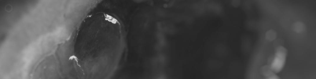 infinity - space monochrome