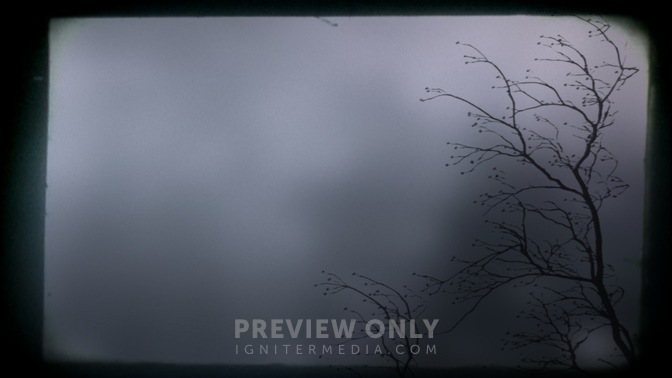 Branch_3_16x9.jpg