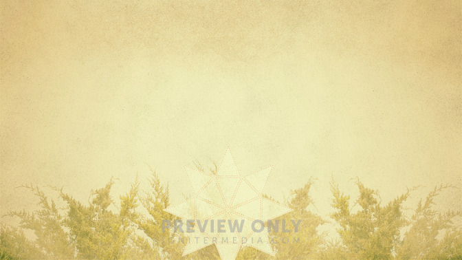 Christmas_Volunteers_Needed_16x9-CONTENT-3#preset=tg_alt3.jpg