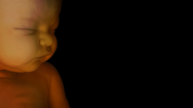 Sanctity_of_Life_Week_16x9-BACKGROUND#preset=tg_bg.jpg
