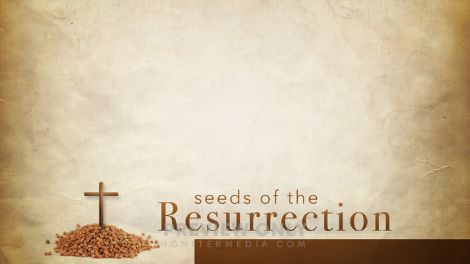 Seeds_of_the_Resurrection_16x9-CONTENT-2#preset=tg_alt2.jpg