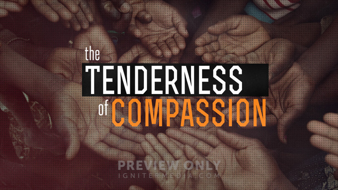 The_Tenderness_of_Compassion_16x9-TITLE-2#preset=tg_title2.jpg