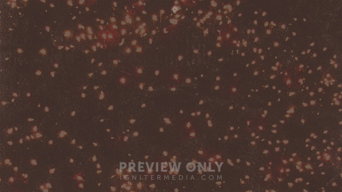 Vintage_Christmas_16x9-CONTENT-3#preset=tg_alt3.jpg
