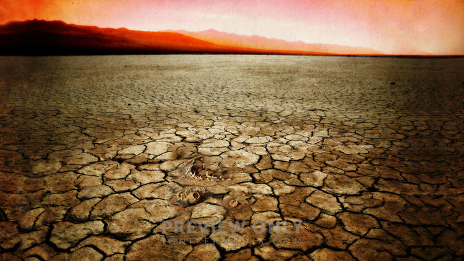Faith_In_Famine_16x9-TITLE-3#preset=tg_title3.jpg