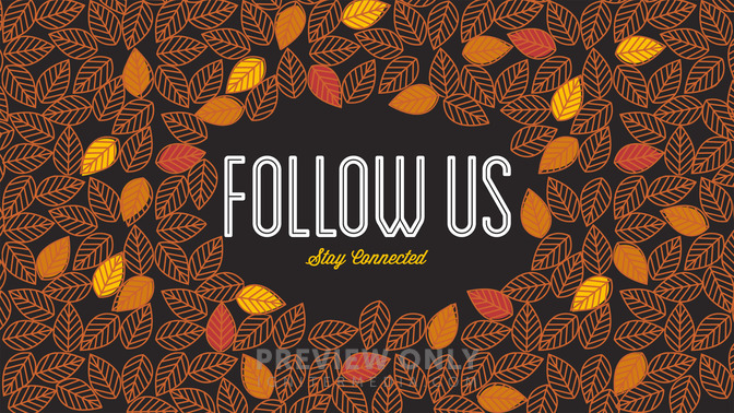 fall leaves - follow us