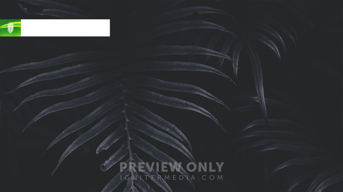 Palm_Sunday_WIDE-CONTENT-3#preset=tg_alt3.jpg