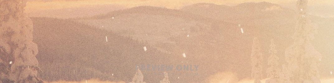Scenic_Christmas_Tree_Tops_MS_1920x480.jpg