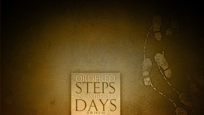 Ordered_Steps__Numbered_Days_16x9-CONTENT-1#preset=tg_alt1.jpg