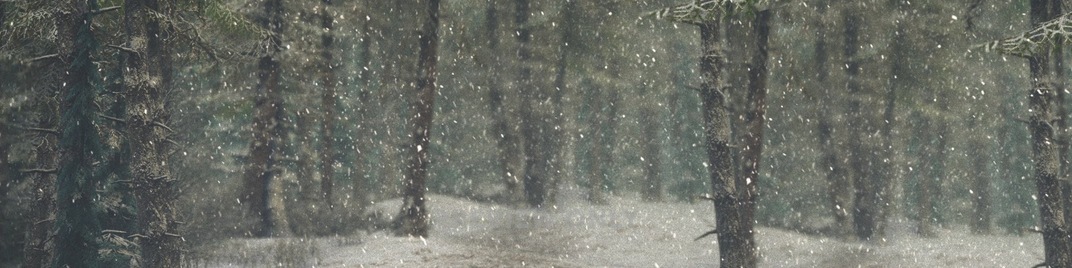Winter_Wonderland_4_UW_SD.jpg