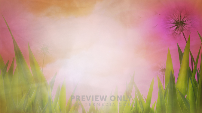 Summer_16x9.jpg