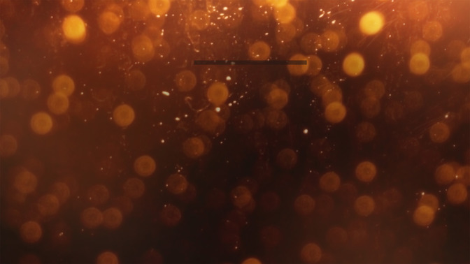 D_Gracias_16x9-CONTENT-3#preset=tg_alt3.jpg