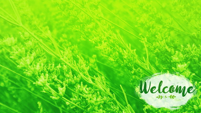 Flower_Fields-Welcome_WIDE-CONTENT-2#preset=tg_alt2.jpg