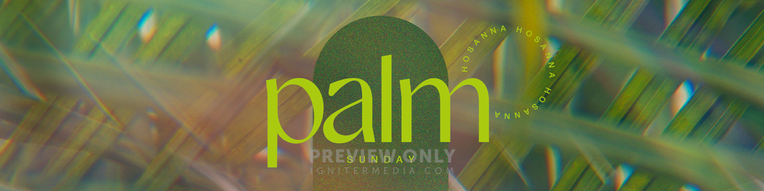 palm_UW_SD.jpg
