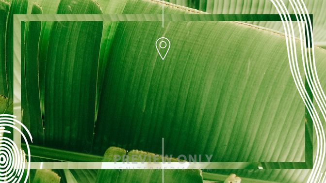 Summer Sun_TT3_SummerOutreach_WIDE#preset=tg_title3.jpg