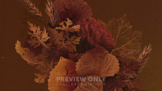 Autumn Nature_TT3_Main_WIDE#preset=tg_title3.jpg