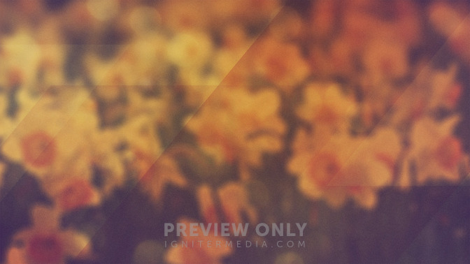 Morning_Flowers_-_Contact_Us_16x9-BACKGROUND#preset=tg_bg.jpg