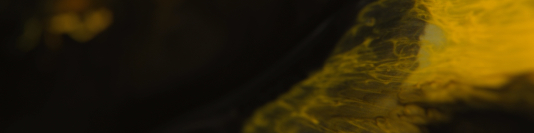 Mind_1920x480.jpg