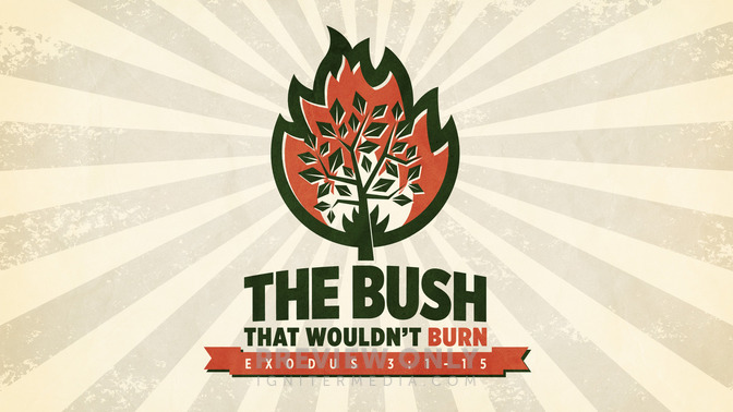 the bush that wouldnt burn