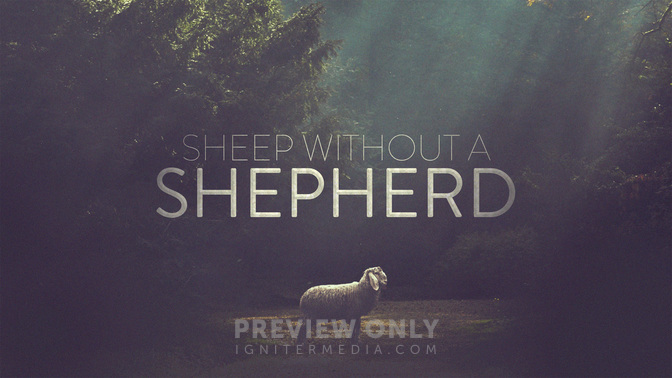 Sheep_Without_A_Shepherd_WIDE-TITLE-2#preset=tg_title2.jpg