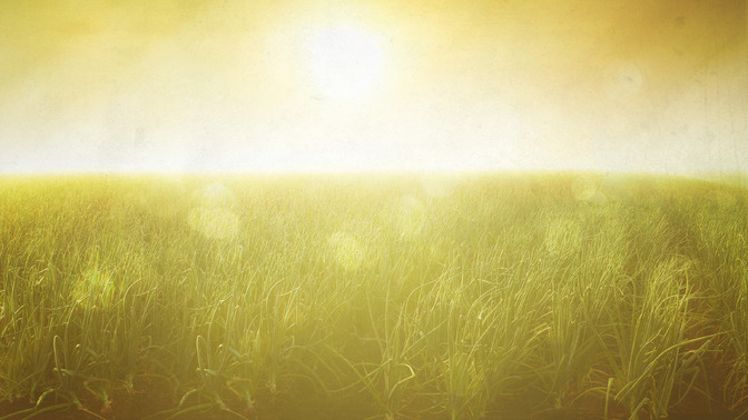 Welcome_This_Easter_16x9-BACKGROUND#preset=tg_bg.jpg